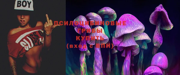 PSILOCYBIN Лихославль