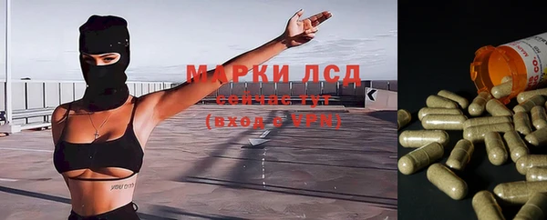 МДПВ Алзамай