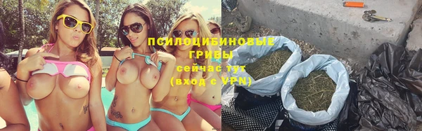 МДПВ Алзамай