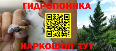 стафф Берёзовский