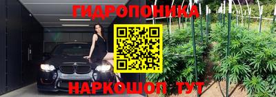 стафф Берёзовский