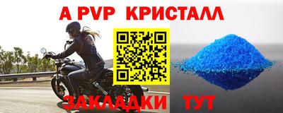 стафф Берёзовский