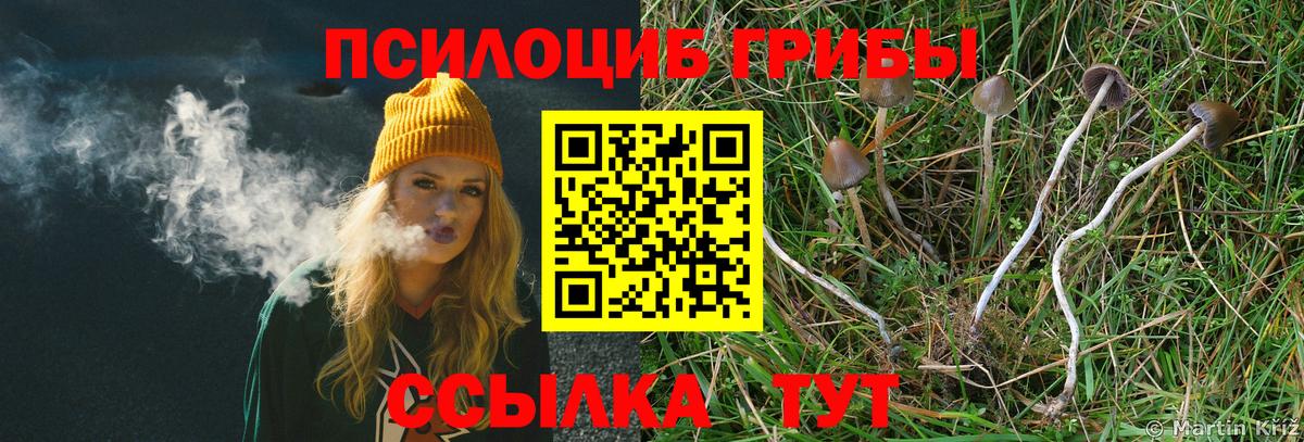 где купить   Галлюциногенные грибы мухоморы  Вход с VPN  Иваново  Псилоцибиновые грибы Psilocybine cubensis 