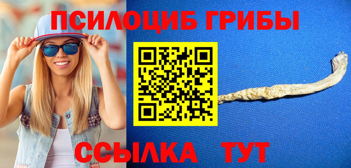 Псилоцибиновые грибы Psilocybine cubensis Иваново